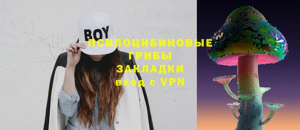 мяу мяу мука Аркадак