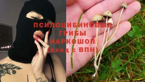 прущие крисы Армянск